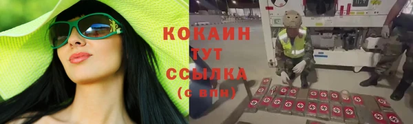 стаф Белокуриха