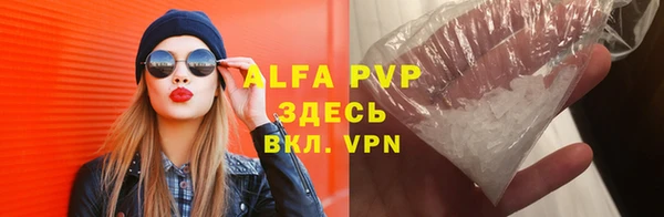 стаф Белокуриха