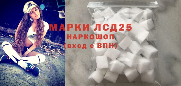 стаф Белокуриха