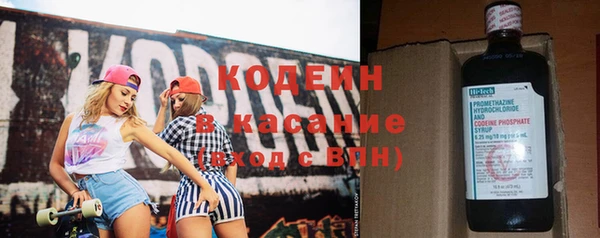 крисы Инта