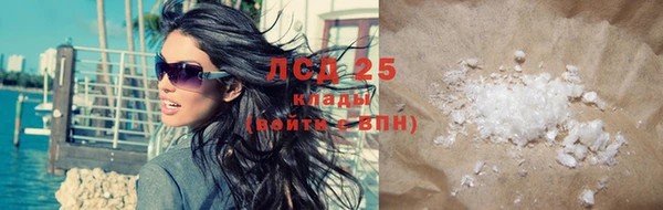 стаф Белокуриха