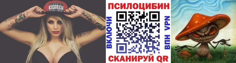 Галлюциногенные грибы MAGIC MUSHROOMS  как найти наркотики  Вязники 